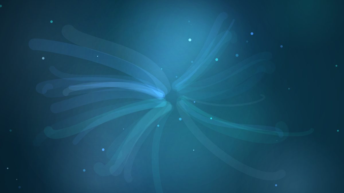 Data Layer vs. contratar un equipo de datos interno